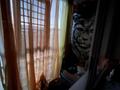 3-комнатная квартира · 81 м² · 6/6 этаж, Юбилейный 35 за 28 млн ₸ в Костанае — фото 11