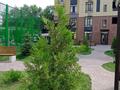 3-бөлмелі пәтер · 80 м² · 12/12 қабат, Торекулова 95 — Сейфулина, бағасы: 40 000 ₸ в Алматы, Алмалинский р-н — фото 2