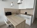 1-комнатная квартира · 28 м² · 12/22 этаж, Туркестан 16 — Орынбор за 450 000 ₸ в Астане, Есильский р-н — фото 8