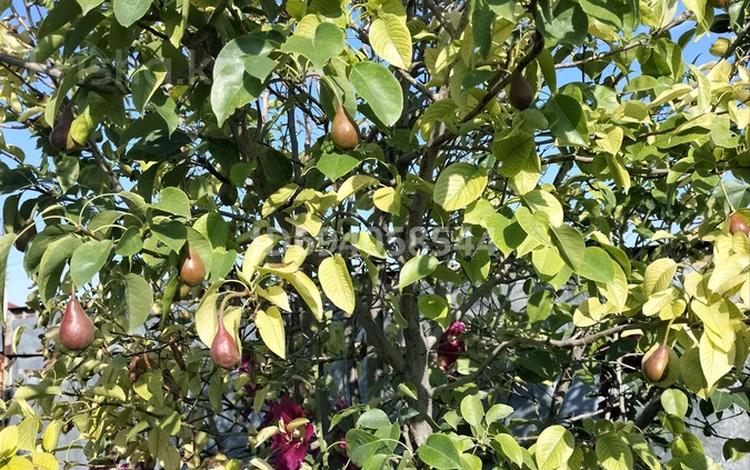 Отдельный дом · 4 комнаты · 150 м² · 14 сот., мкр Кара депо, Шаган 21 21 — Возле АК кайын бани за 24 млн 〒 в Атырау — фото 46