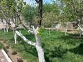 Отдельный дом · 4 комнаты · 320 м² · 8 сот., Абая — Алатау за 89 млн ₸ в Абай — фото 11