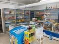 Действующего продуктового магазина · 60 м² за 880 000 ₸ в Аксае — фото 2