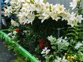 Отдельный дом · 4 комнаты · 64.1 м² · 6.9 сот., Совхозная за 19.5 млн ₸ в Костанае — фото 27