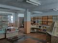 Еркін, кеңселер, дүкендер мен бутиктер, қоймалар · 1229 м², бағасы: 21.5 млн ₸ в 