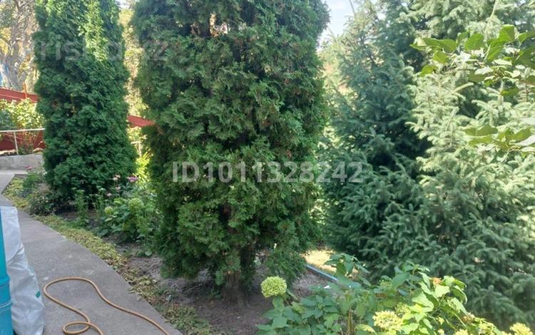 Дача · 3 комнаты · 74.7 м² · 7 сот., СТ Горки 21 за 25 млн ₸ в Байбулаке — фото 2