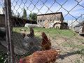 Отдельный дом · 6 комнат · 280 м² · 12 сот., Пкст место под солнцем 11 лин я 15 за 75 млн ₸ в М. Туймебаеве — фото 14