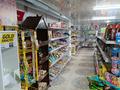 Магазины и бутики · 80 м² за 300 000 ₸ в Шымкенте, Каратауский р-н