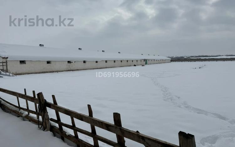 Сельское хозяйство · 1000 м² за 150 млн 〒 в Шымкенте, Каратауский р-н — фото 2