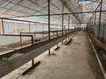 Сельское хозяйство · 1000 м² за 150 млн 〒 в Шымкенте, Каратауский р-н — фото 2