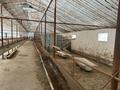 Сельское хозяйство · 1000 м² за 150 млн 〒 в Шымкенте, Каратауский р-н — фото 3