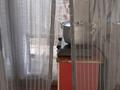 Дом · 2 комнаты · 36 м², Байгожина 29 КВ 1 — Возле университета магнит магазин за 8 000 ₸ в Талдыкоргане, мкр Жастар — фото 7
