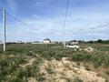 Участок · 8 соток, Мкр толе би, ул алматы 124 за 5.5 млн ₸ в Алматинской обл., Талгарский р-н — фото 13