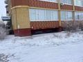 Свободное назначение · 250 м² за 75 млн ₸ в Актобе, мкр. Алтын орда — фото 2