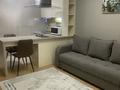1-комнатная квартира · 45 м² · 21/32 этаж, Кошкарбаева 10/1 за 25 000 ₸ в Астане, Алматы р-н — фото 5