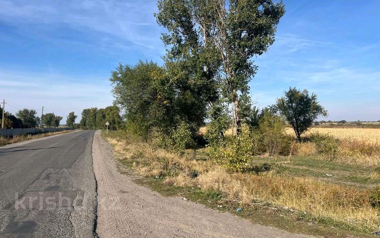 Участок · 5 соток, Койшибек за 8 млн ₸ в Байтереке (Новоалексеевке) — фото 2