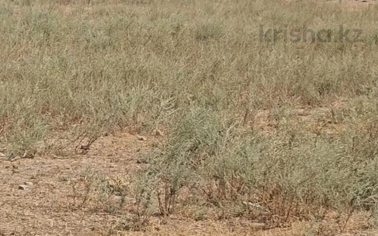 Участок · 720 соток, Байсерке за 180 млн 〒 — фото 2