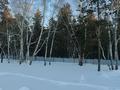 Отдельный дом · 5 комнат · 195 м² · 25 сот., Мектеп 37 за 145 млн ₸ в Акколе — фото 40