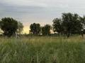 Жер телімі · 6.5 сотық, Жаңа Қуат, бағасы: 9 млн ₸ в Жана куате — фото 3