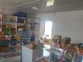 Магазины и бутики • 145 м² за 55 млн 〒 в Шымкенте, Каратауский р-н — фото 5