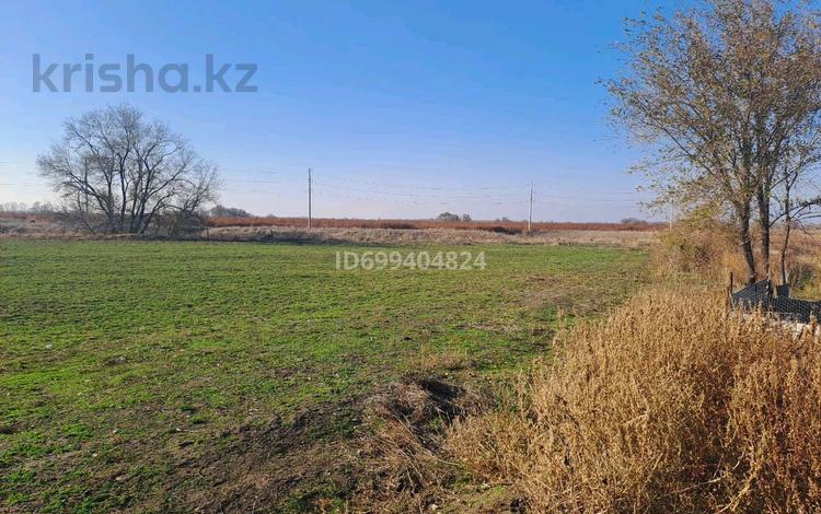 Жер телімі · 2 га, Жанатурмыс 27, бағасы: 28 млн ₸ в Ташкенсазе — фото 3