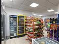 Дүкендер мен бутиктер · 300.9 м², бағасы: 76 млн ₸ в Шортандах — фото 11