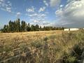 Жер телімі · 8 сотық, Улы Дала ш/а. — ., бағасы: 18.5 млн ₸ в Таразе, мкр Улы Дала — фото 6