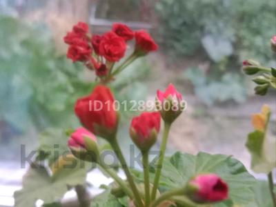 Үйдің бір бөлігі · 3 бөлме · 71 м² · 3 жүзд., Затон, бағасы: 14.8 млн ₸ в Семее