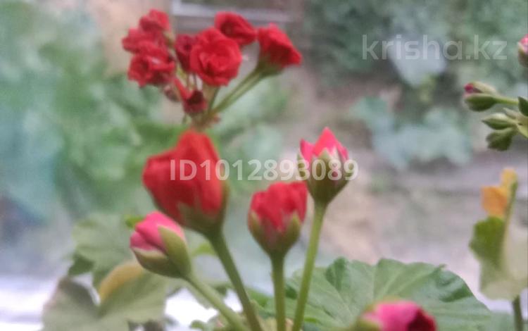 Үйдің бір бөлігі · 3 бөлме · 71 м² · 3 жүзд., Затон, бағасы: 14.8 млн ₸ в Семее — фото 7