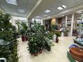 Цветоный бизнес · 150 м² за 58 млн ₸ в Астане, Сарыарка р-н — фото 4