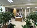 Цветоный бизнес · 150 м² за 58 млн ₸ в Астане, Сарыарка р-н — фото 6