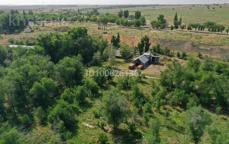 Фазенда, ферма, крестьянское хозяйство · 1000 м² за ~ 130 млн 〒 в Караой — фото 8