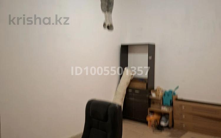 Свободное назначение, склады, образование, развлечения, студии · 57 м² за 150 000 ₸ в Алматы, Алмалинский р-н — фото 2