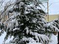 Отдельный дом · 10 комнат · 500 м² · 10 сот., Данеша Ракышева 16 за 99 млн ₸ в Атырау — фото 15