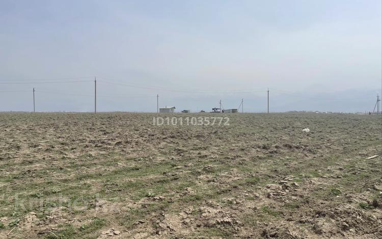 Жер телімі · 1.5 га, Коксай (Путь Ильича), бағасы: 100 млн ₸ — фото 2