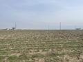 Жер телімі · 1.5 га, Коксай (Путь Ильича), бағасы: 100 млн ₸ — фото 2