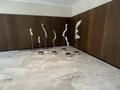 4-бөлмелі пәтер · 230 м² · 4/18 қабат, Динмухамеда Кунаева 8а, бағасы: 250 млн ₸ в Астане, Есильский р-н — фото 9