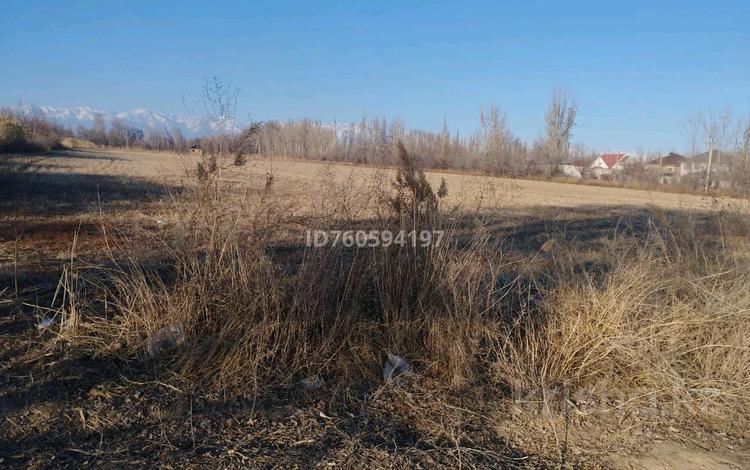 Участок · 1 га, Северная часть города Жаркент за 90 млн ₸ — фото 2