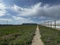 Готовый промышленно-аграрный комплекс · 1300 м² за 280 млн ₸ в Кандыагаш — фото 9