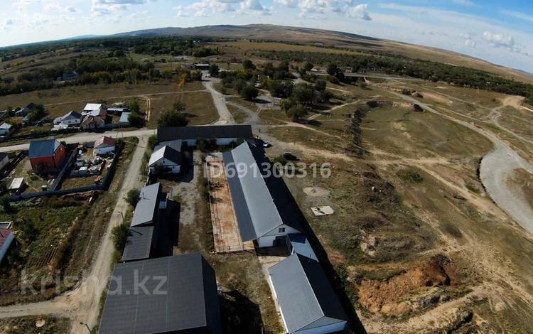 Сельское хозяйство • 2000 м² за 300 млн 〒 в Талдыкоргане — фото 2