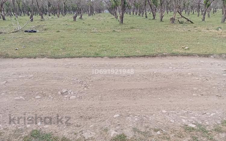 Жер телімі 60 сотық, Талгар, бағасы: 28 млн 〒 — фото 2