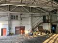 Сельское хозяйство · 10000 м² за 300 млн ₸ в  — фото 11