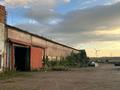 Сельское хозяйство · 10000 м² за 300 млн ₸ в  — фото 4