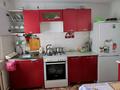 Отдельный дом · 4 комнаты · 80 м² · 12 сот., Сарыбай би — Молдагуловой за 17 млн ₸ в Узынагаш — фото 17