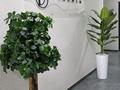 3-бөлмелі пәтер · 56 м² · 6/6 қабат, мкр Нуркент 22 — Момышулы -рыскулова, бағасы: 43.5 млн ₸ в Алматы, Алатауский р-н