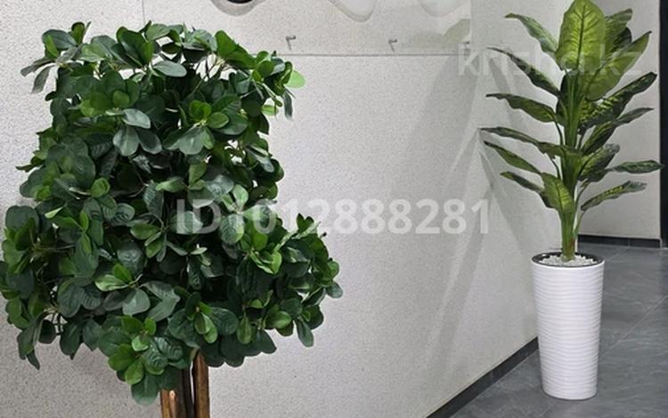 3-бөлмелі пәтер · 56 м² · 6/6 қабат, мкр Нуркент 22 — Момышулы -рыскулова, бағасы: 43.5 млн ₸ в Алматы, Алатауский р-н — фото 2
