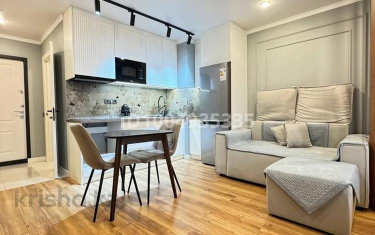 1-бөлмелі пәтер · 30 м² · 7/10 қабат, Ақкент ш/а. 98, бағасы: 24 млн ₸ в Алматы, Алатауский р-н — фото 19