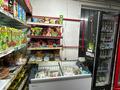 Жеке үй · 4 бөлме · 130 м² · 6 жүзд., Папанина 45, бағасы: 80 млн ₸ в Алматы, Турксибский р-н — фото 3