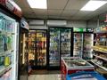 Жеке үй · 4 бөлме · 130 м² · 6 жүзд., Папанина 45, бағасы: 80 млн ₸ в Алматы, Турксибский р-н — фото 7