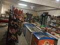 Свободное назначение, магазины и бутики • 420 м² за 225 млн 〒 в Алматы, Алатауский р-н — фото 4