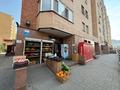 Дүкендер мен бутиктер · 120 м², бағасы: ~ 130 млн ₸ в Астане, Сарайшык р-н — фото 2